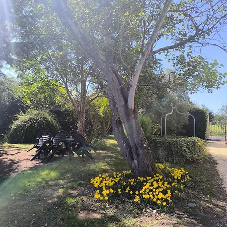 Maison En Pierre Cosy *