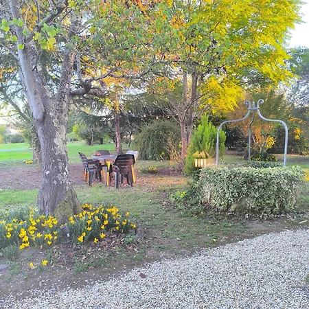 Maison En Pierre Cosy Chez Laetitia オロ